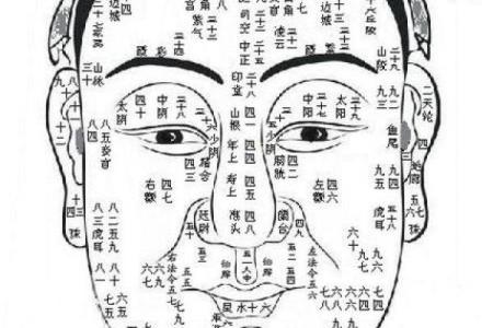 颧骨面相算命
