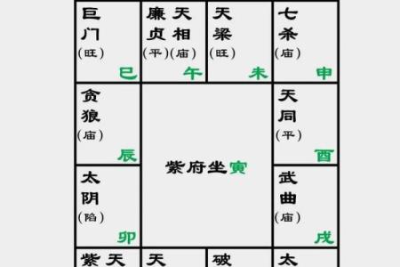 紫薇斗数看命运