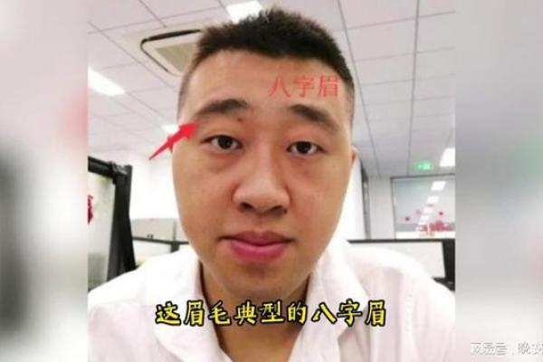 倒八字眉,眉毛上扬将军眉