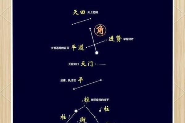 2月17日是什么星座