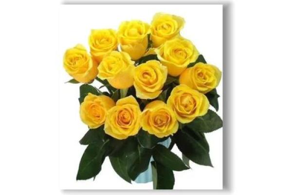 12星座代表的花，秋天的叶子是什么座