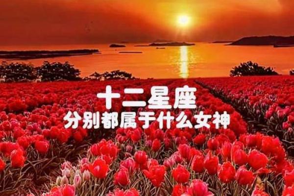 【备受喜爱的星座女神：她是哪位知名女星？】