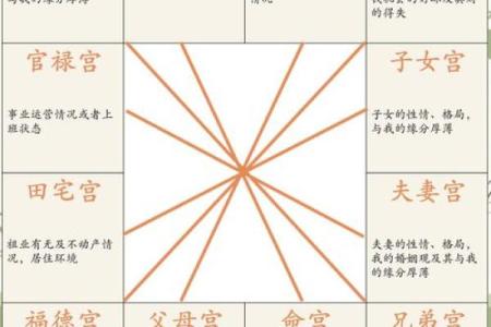 紫微斗数诸星落诸宫之：天府星官禄宫详解