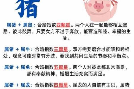 八字配对属龙男与属猪女合得来吗 结婚会怎样