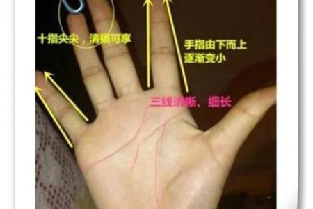女生算命看左手吗