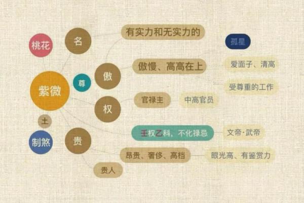 紫薇斗数命主星和身主星 紫薇斗数命主星和身主星