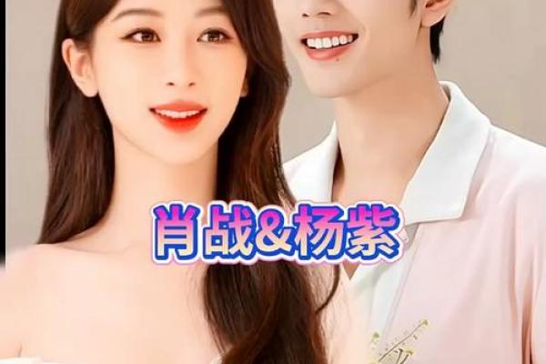 肖战和杨紫星座合适吗