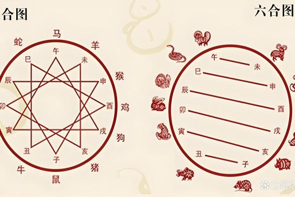 属鼠和属狗的八字合不合得来,属狗的跟属鼠的合财吗