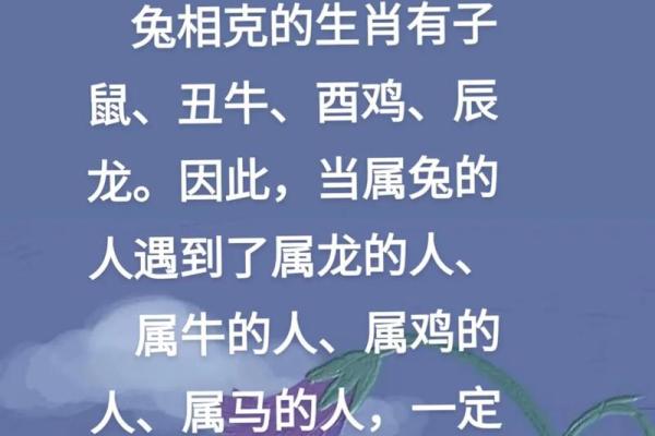 鼠马的八字不合 鼠马的八字不合