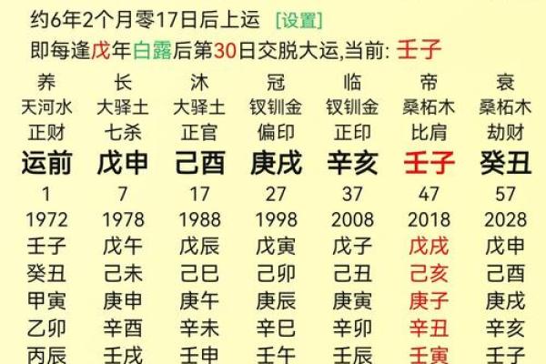 八字-人元（论地支遁藏即地支藏干）