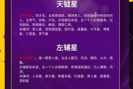 紫薇斗数八字算命软件