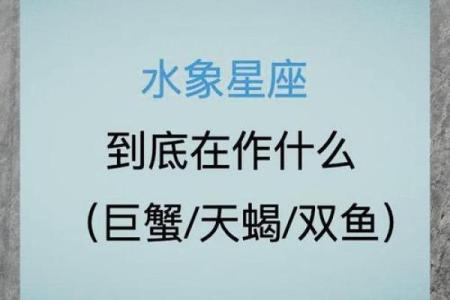 水象星座的人适合戴什么