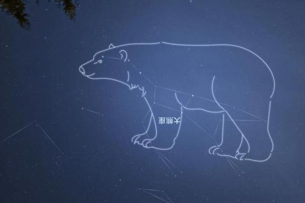 北斗七星的尾巴指向的是哪个星座