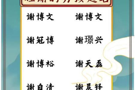 2019年6月28号丑时出生的男孩应该起什么样的名字姓名