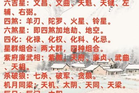 紫薇好运主星：无须过度规划目标的紫微主星