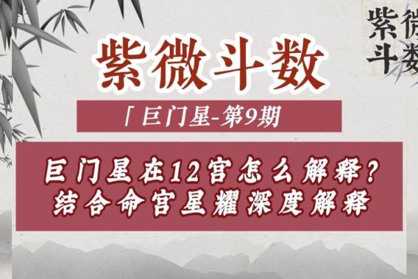 紫薇斗数+巨门星