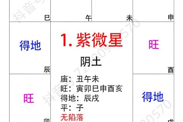 紫薇斗数两临宫