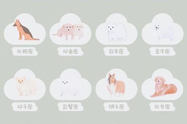 哪些狗狗属于你的星座? 哪些狗狗属于你的星座?