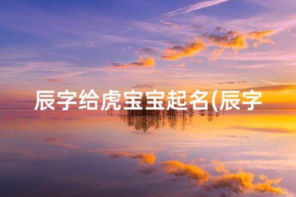 早上7点出生的属虎男孩怎么起名，适合什么字姓名