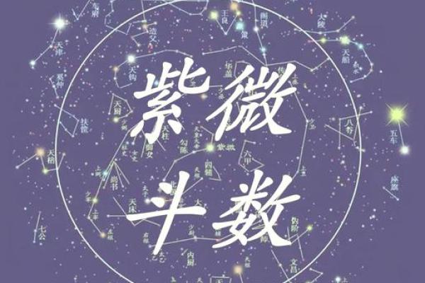 紫薇斗数北斗系列都是什么