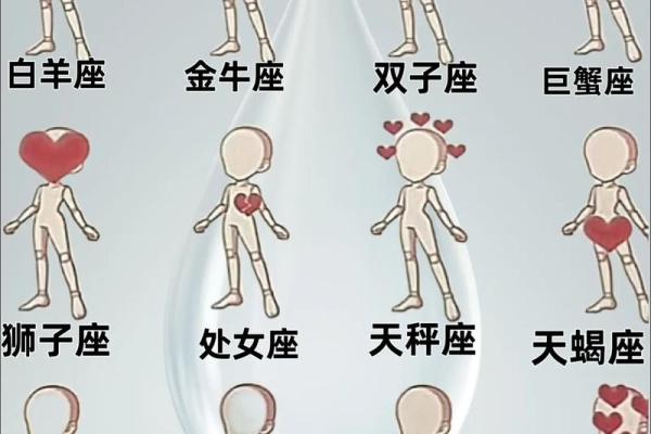 十二星座花心排行榜图片