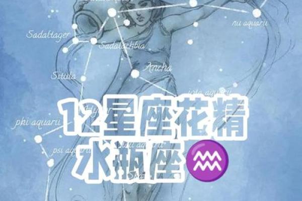 水瓶座最放不下的星座 水瓶座最放不下的星座
