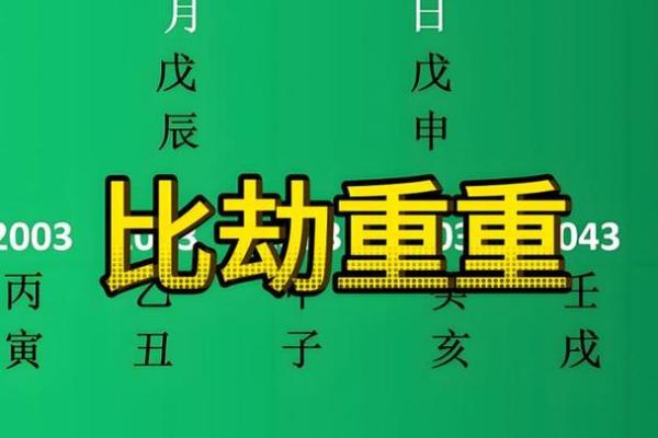 八字比劫 八字比劫