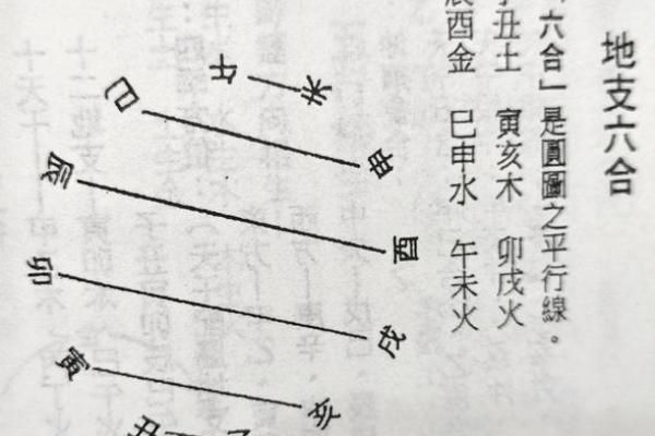 八字辰酉合