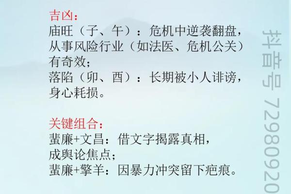解说紫微斗数 深入解读紫微斗数？