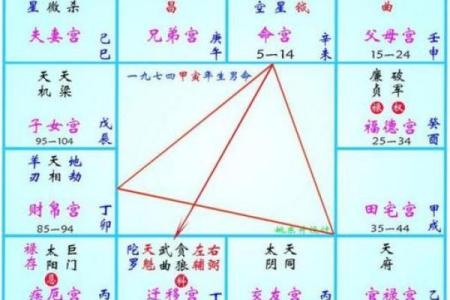 紫薇斗数宫位吉利