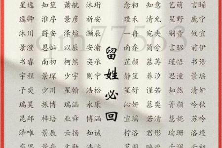 属龙辛时出生的男孩怎样起名，宜用什么字姓名