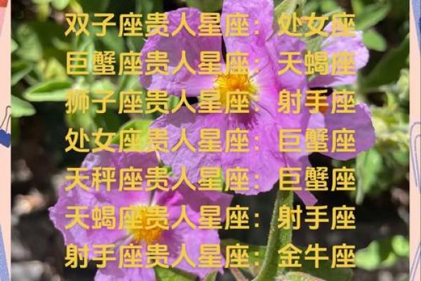 跟摩羯座的契合星座有哪些呢