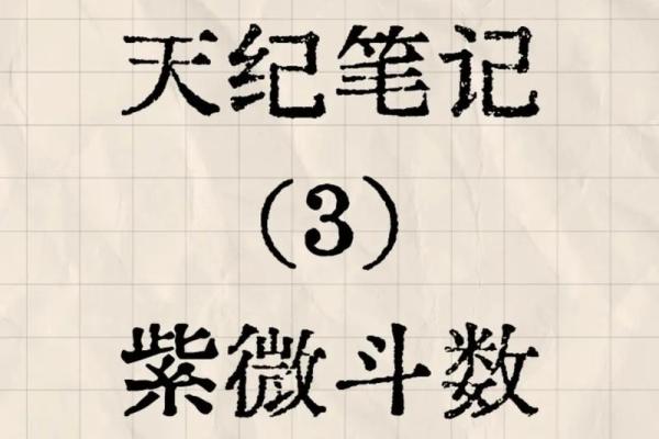 紫薇斗数算读书