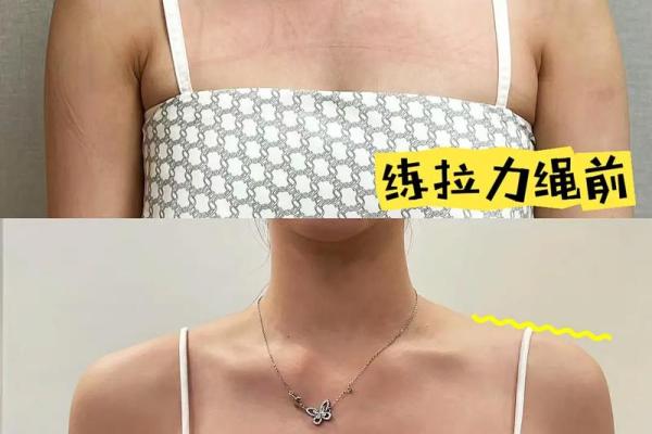 八字胸健身 八字胸健身