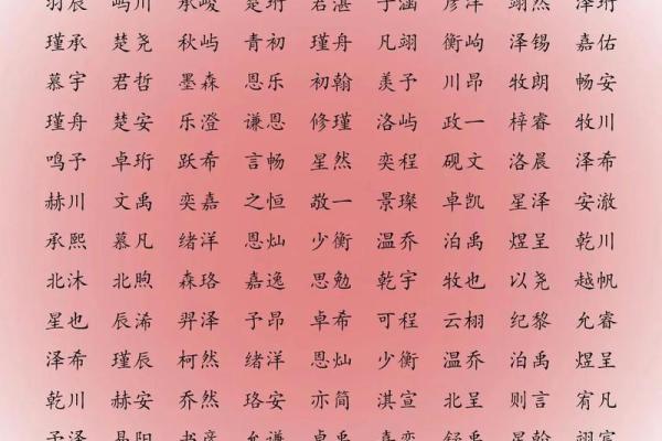 2019年3月24号亥时出生的男孩起名时要注意什么姓名