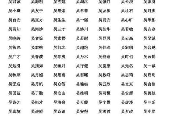 2019年出生的姓吴男孩如何起名，宜用什么字姓名