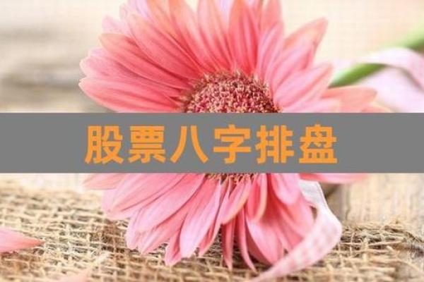 股票与八字 股票与八字