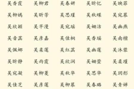 2019年出生的姓吴男孩如何起名，宜用什么字姓名