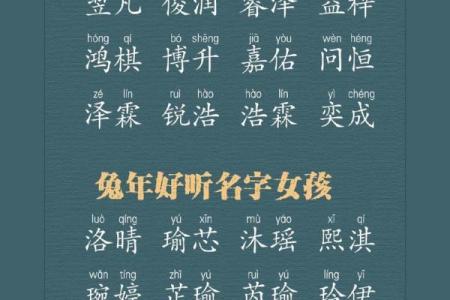 2月份出生的属兔男孩该怎么取名字姓名