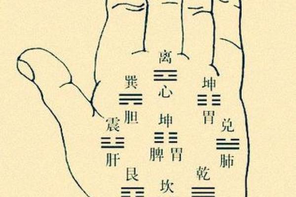 指纹算命,十个斗手指纹算命图解