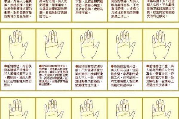 指纹算命,十个斗手指纹算命图解