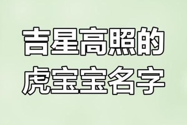 凌晨2点出生的属虎男孩如何起名，宜用什么字姓名