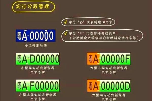 电动汽车牌照号吉凶测试