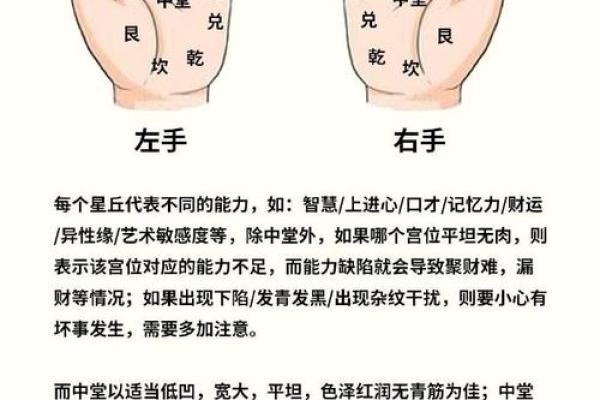 命运在哪里算命 命运在哪里算命