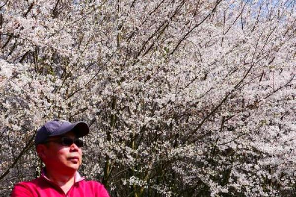 2019年3月26号申时出生的男孩要怎么起名字姓名