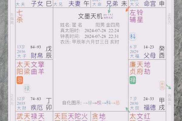 紫薇斗数怎么看