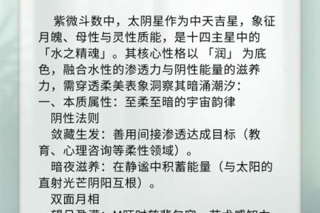 紫薇斗数一梦江湖太阴