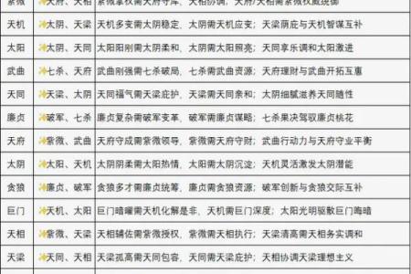 紫微斗数星宿详解天机星 紫薇星天机星？