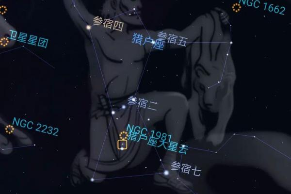 猎户星座是什么座