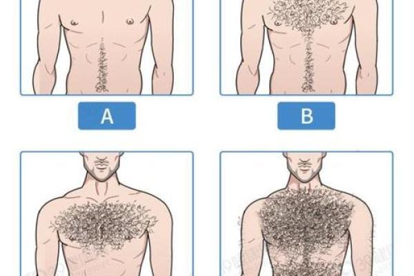 男人长胸毛从算命上看代表啥 男人长胸毛从算命上看代表啥